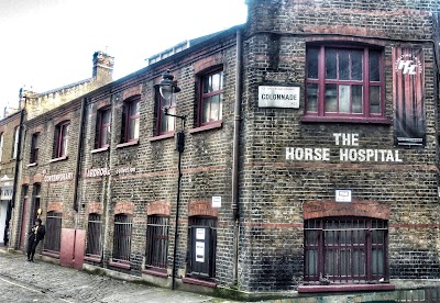 The Horse Hospital