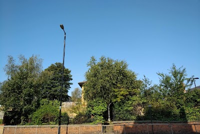 Apple Tree & Blackberry Orchard Green