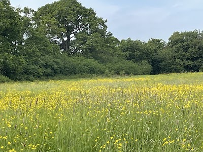 Paradise Fields, Horsenden Hill