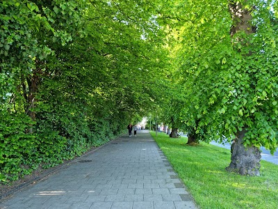 Queens Gardens